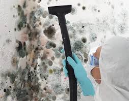 Best Industrial Mold Remediation  in Labelle, FL